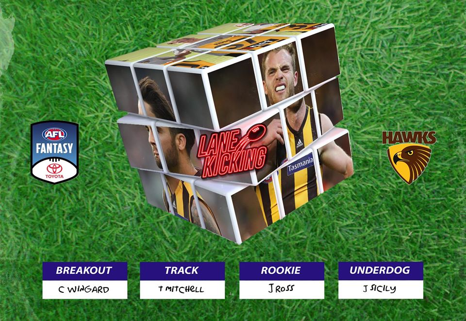 AFLFantasy Preseason Watchlist | Hawthorn Hawks