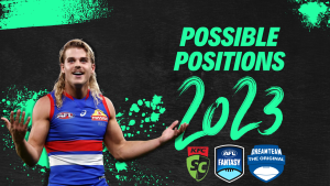 Possible Fantasy Football Positions in 2023